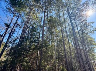Tbd Fm 130, Hughes Springs, TX 75656