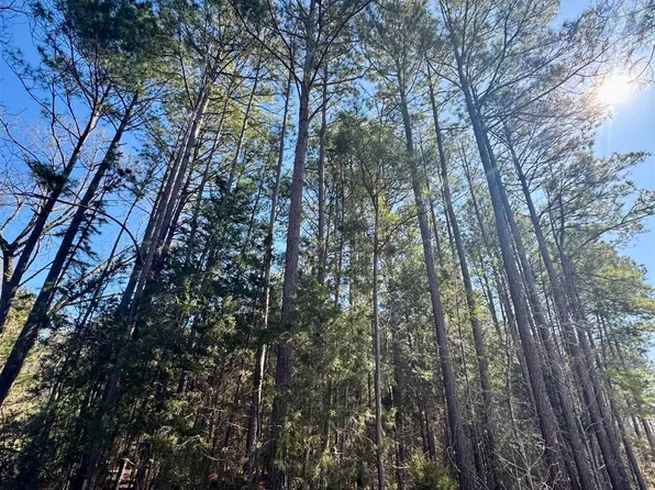 Tbd Fm 130, Hughes Springs, TX 75656