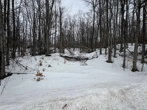 319 Beaux Rivages Dr, Harbor Springs, MI 49740