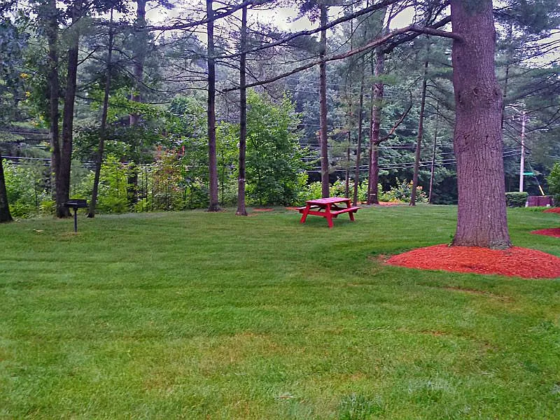 2 bed, 1.0 bath, 618 sqft, $1,550 — Photo 3
