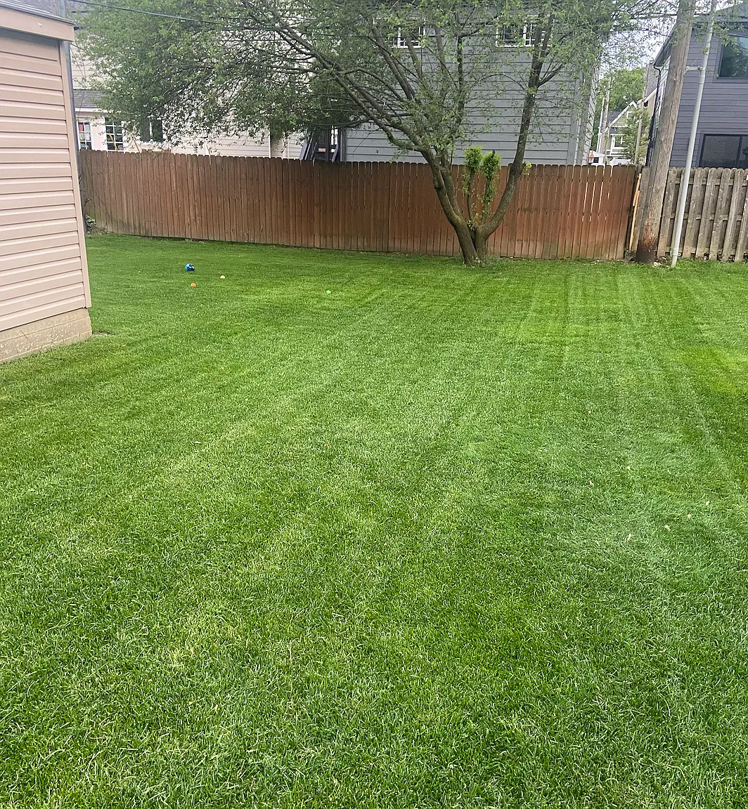 2 bed, 1200 sqft, $3,000 — Photo 4