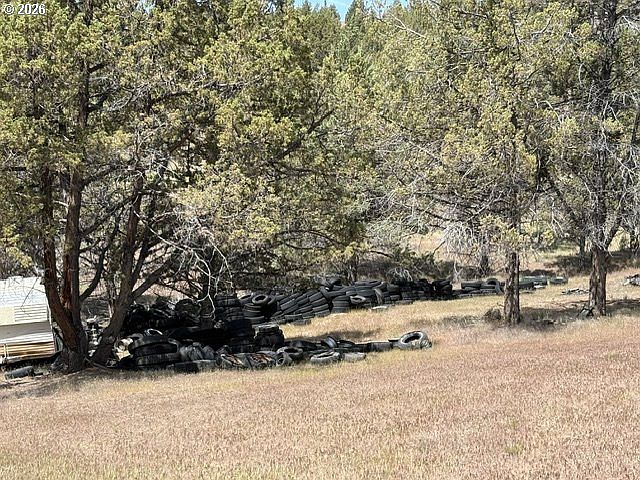 13th image of Wiley Creek Rd