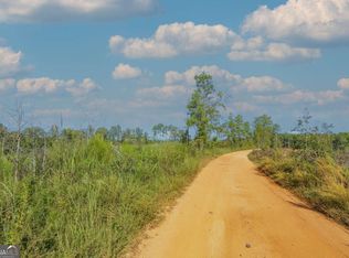 TRACT 7 Carlisle Gap Rd, Woodland, GA 31836