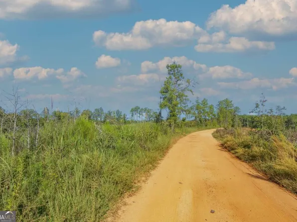 TRACT 7 Carlisle Gap Rd, Woodland, GA 31836