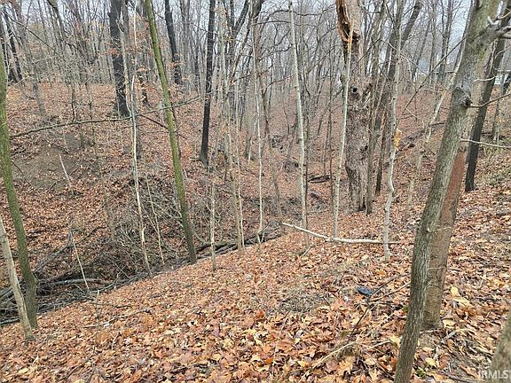 2nd image of 811 Shady Creek Dr
