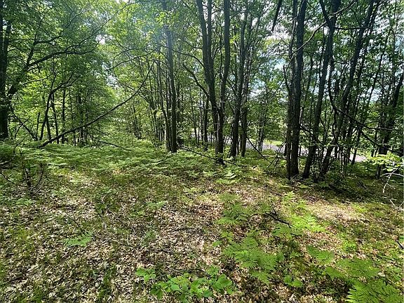 3rd image of 1.24 Acres Carlton Rd