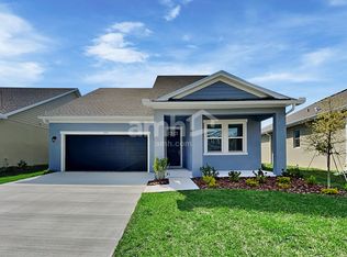 6377 Atlantic Beach Ave, Wesley Chapel, FL 33544