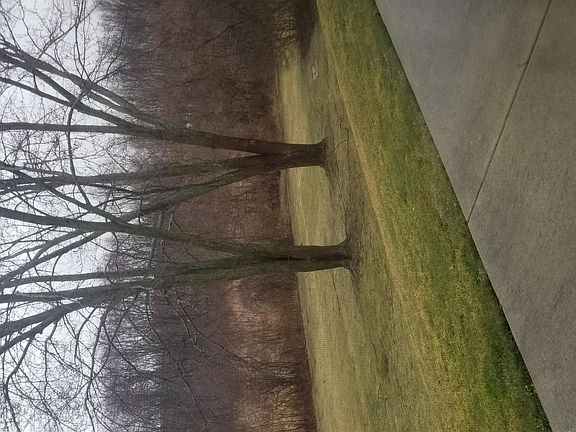 3rd image of 8004 S Saginaw St APT 10