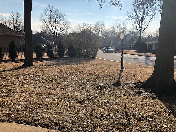 View from front in winter