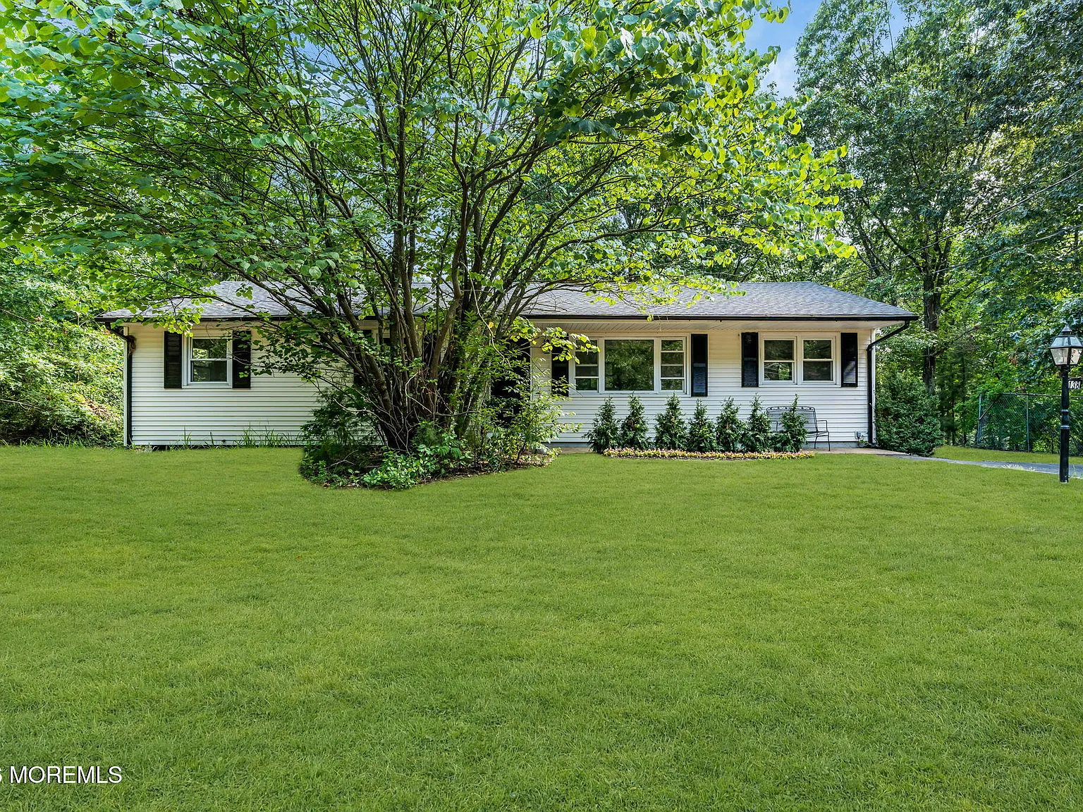 3 bed, 1.5 bath, 1319 sqft, $3,650 — Photo 2
