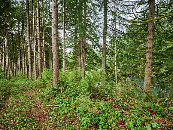4th image of 471 Five Peaks Drive