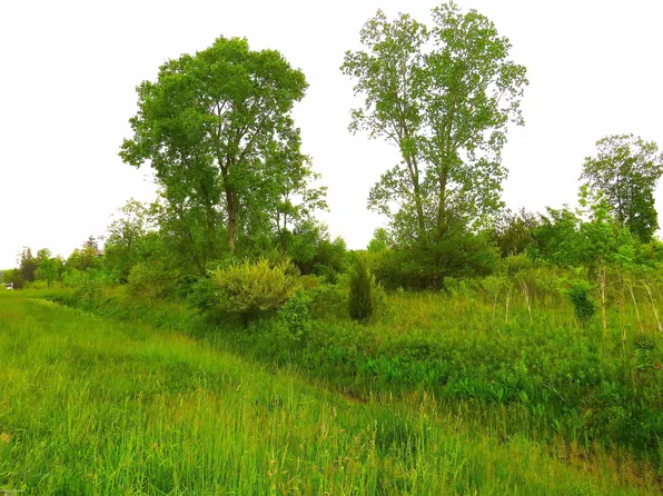 65002 Gratiot Ave, New Haven, MI 48050