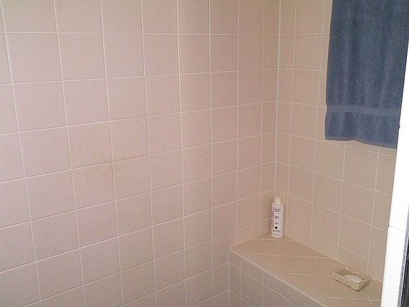 Master Bath Walk In Shower