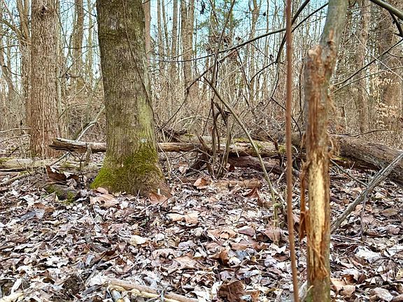 5th image of 0 Martin Alexander Rd