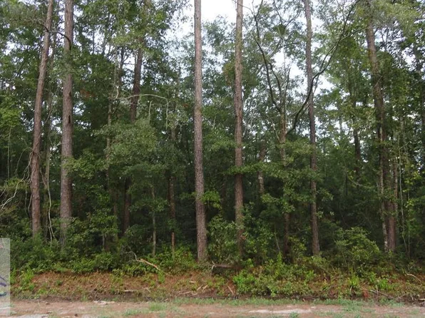 3 Tibet Hwy SE, Ludowici, GA 31316