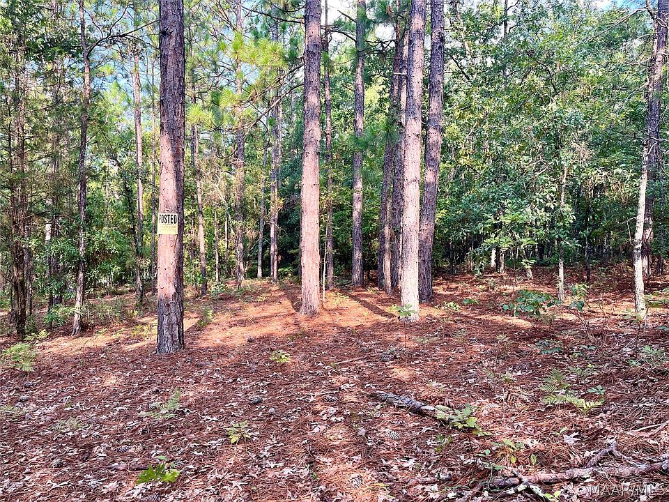 1st image of 1035 Indian Pines Rd