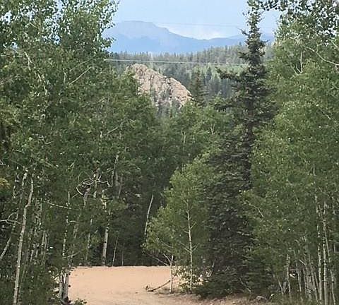 2nd image of 376 Deadwood Dr