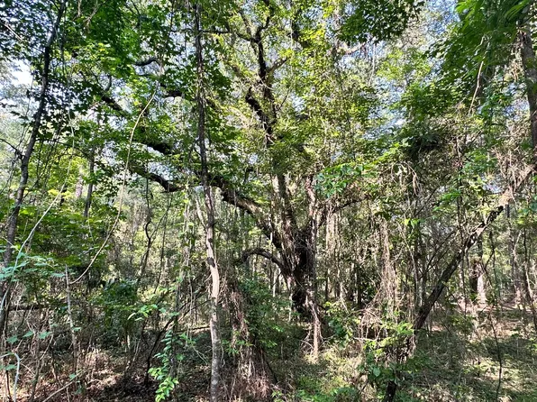 175th Dr Lot 8, Live Oak, FL 32060