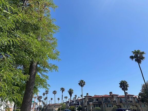 4th image of 907 S Catalina Ave #6
