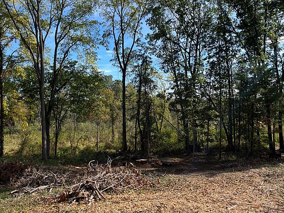 5th image of 0 Old Mill Rd