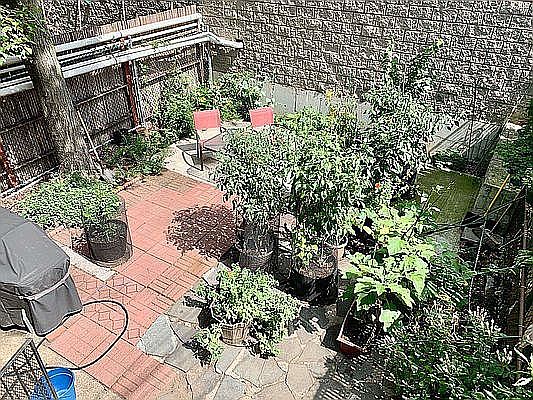 1st image of 30-25 23rd St #2