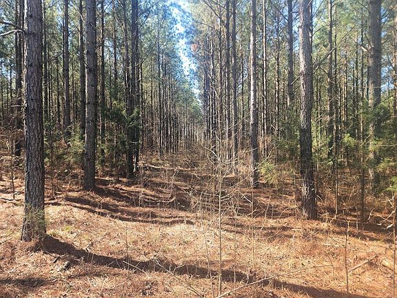 4th image of (Undisclosed Address)