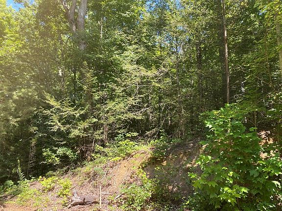 2nd image of 23 Tall Oak Way Lot Tr2