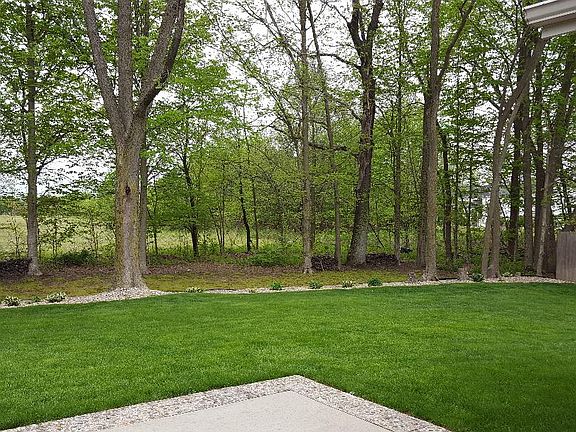 5th image of 2457 Tulip Blvd