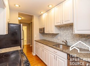 743 W Gordon Ter #206, Chicago, IL 60613