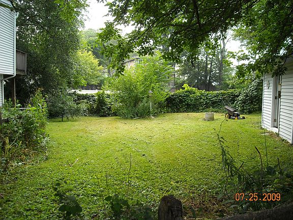 side yard, tomato garden