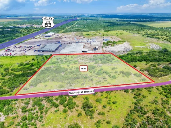 Township Road 5 Pimenta Rd, Rio Grande City, TX 78582
