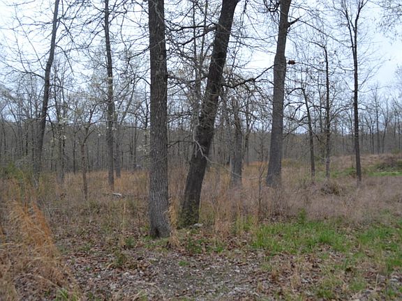 3rd image of 248 Bear Bluff Ln