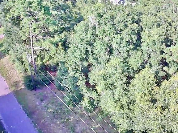 5th image of 8457 N Dove Orchid Dr