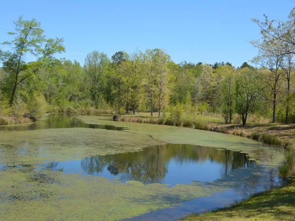 5508 Fairview Rd, Batesburg, SC 29006