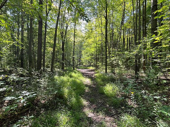 4th image of Atkins Rd