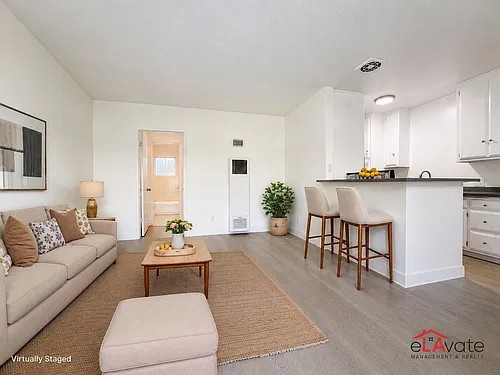 Floor plan 1 bed / 1 bath