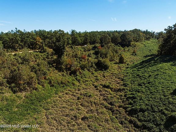 2nd image of Stinson Rd