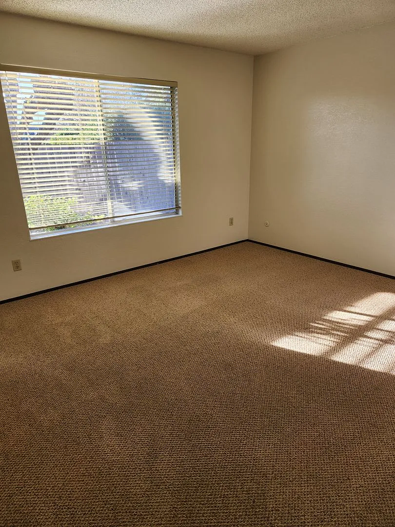 4 bed/ 2 bath in Rohnert Park — Photo 4