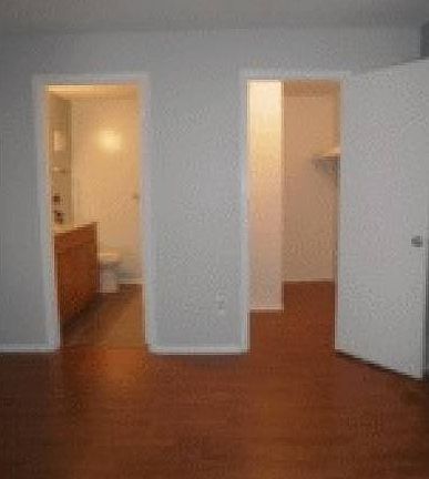 Main BR walk-in and bath