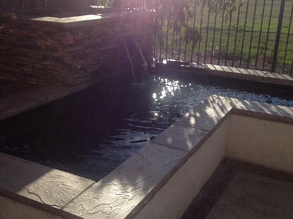 Koi pond and openspace