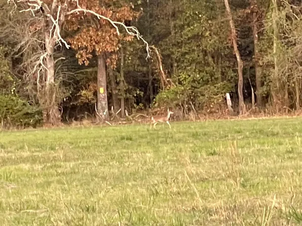 0 Magee Bend Loop, Groveton, TX 75845