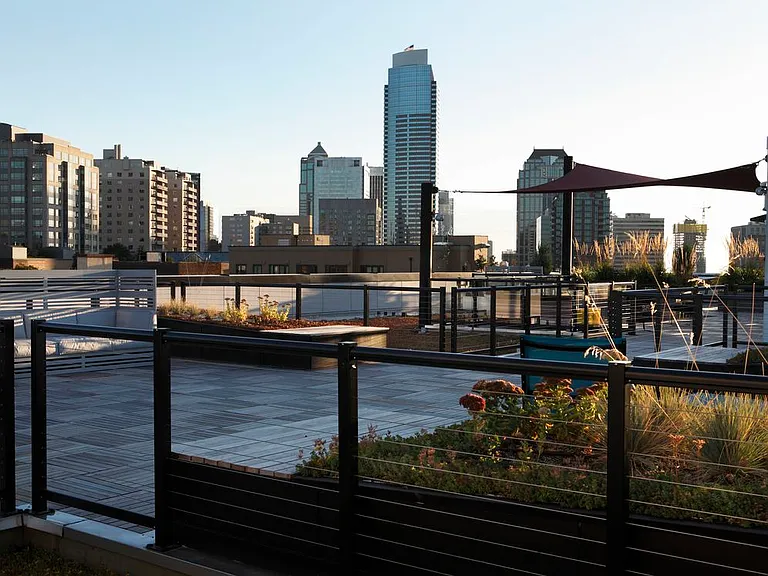 Views from Rooftop Terrace