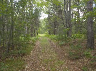 0 7th Pnes, Grayling, MI 49738