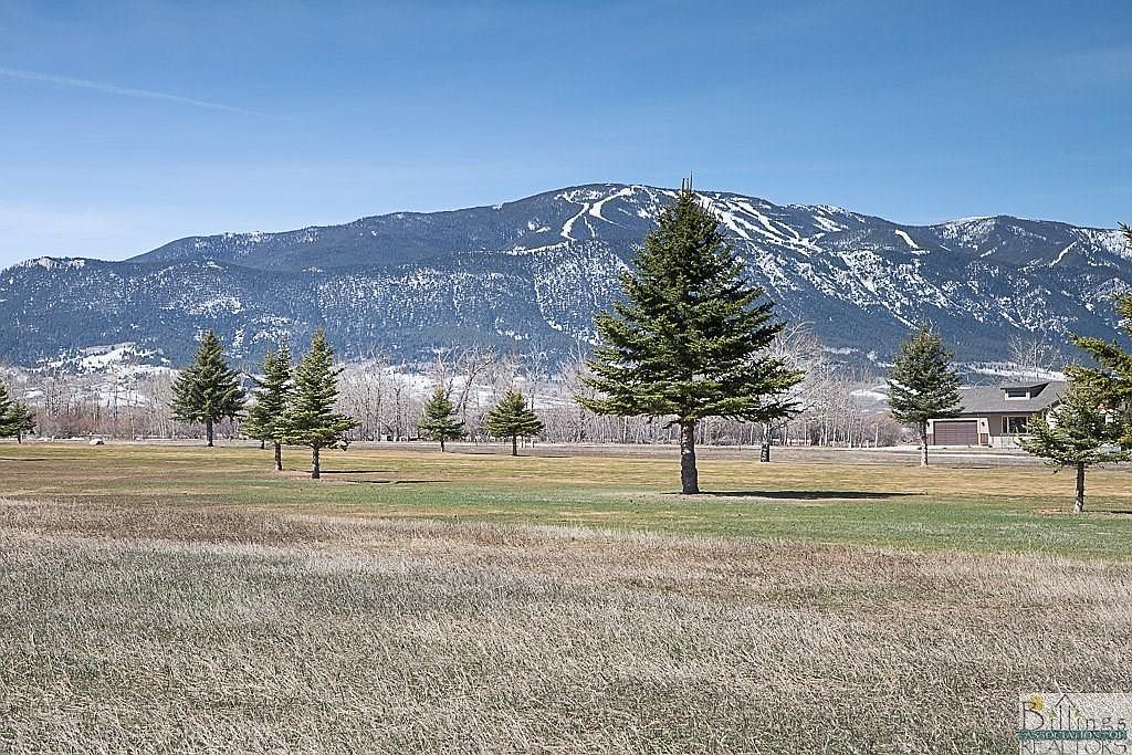 9 Greenough Ln, Red Lodge, MT 59068 MLS 343381 Zillow