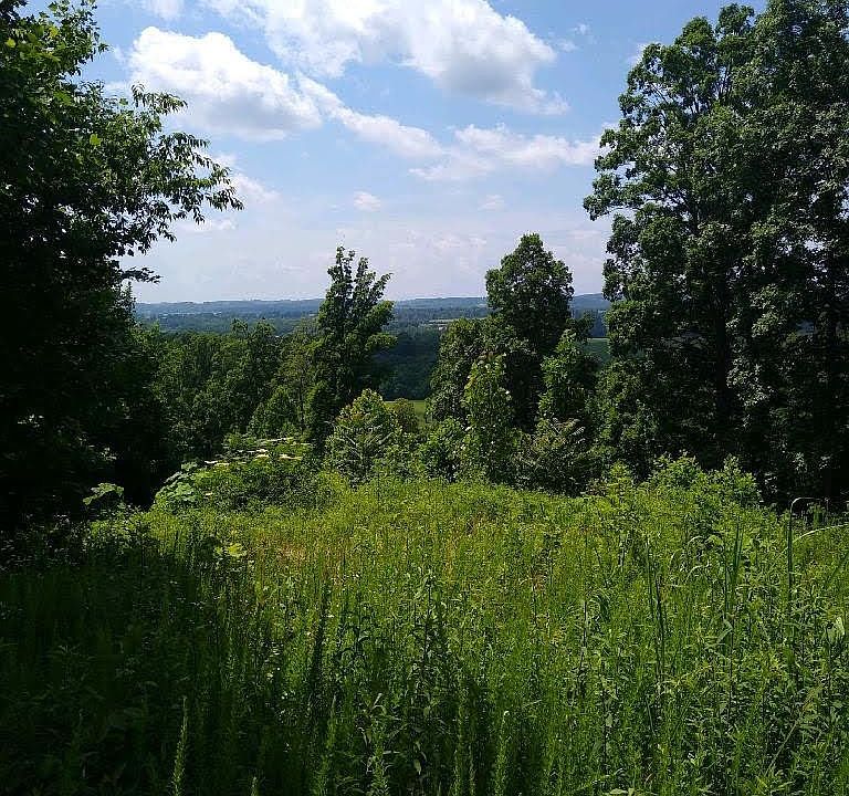 2nd image of 0 County Road 526