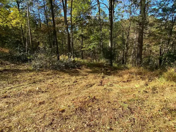 Third Run Rd, Glenville, WV 26351