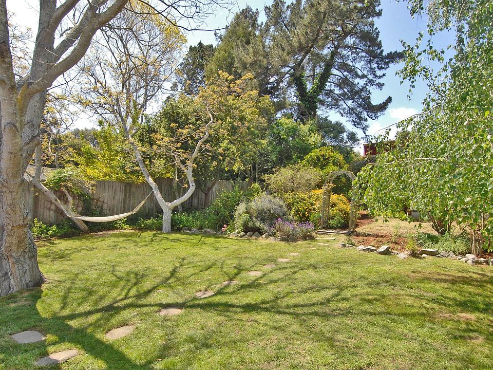 Sprawling Backyard