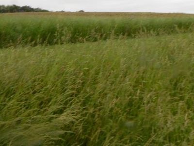 389 Little Rock Rd, Kittanning, PA, 16201