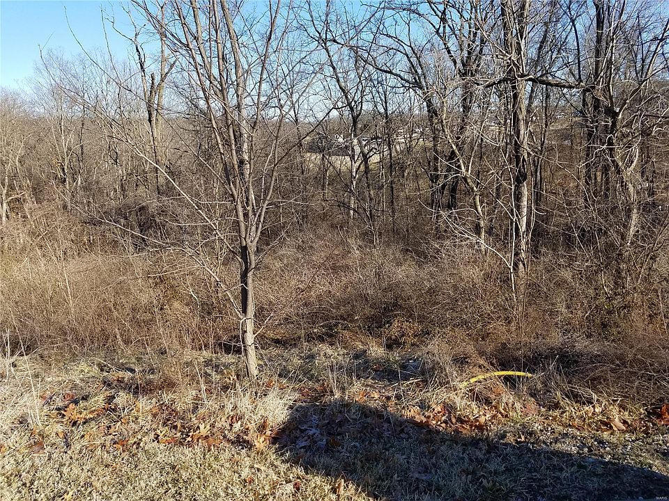 1st image of 12681 Alberts Laumeier Ct