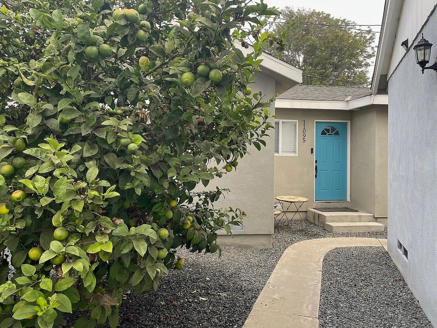 11089-11095 Violet Dr — Photo 2